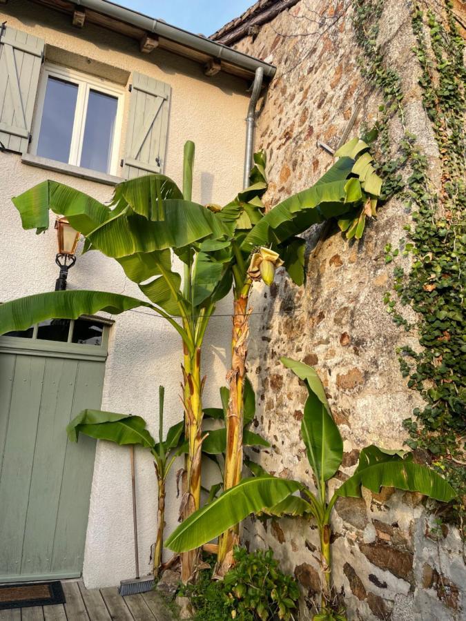 Mezieres-sur-Issoire Maison Hirondelles Gites מראה חיצוני תמונה
